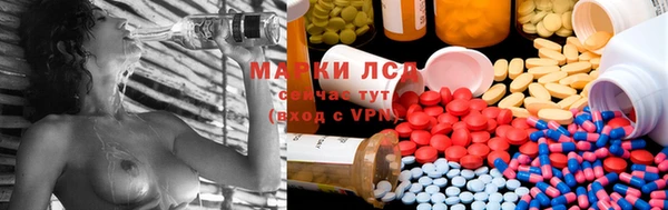 прущие крисы Вязьма