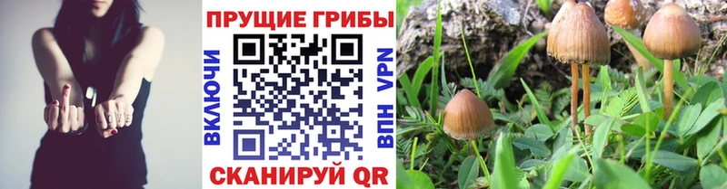 ОМГ ОМГ как войти  купить наркотик  Дедовск  Галлюциногенные грибы ЛСД 