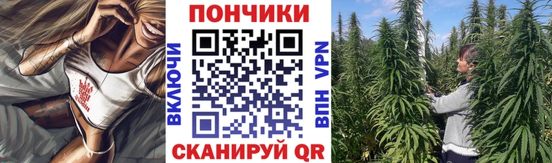 площадка какой сайт  Дедовск  Бошки марихуана семена  даркнет сайт 